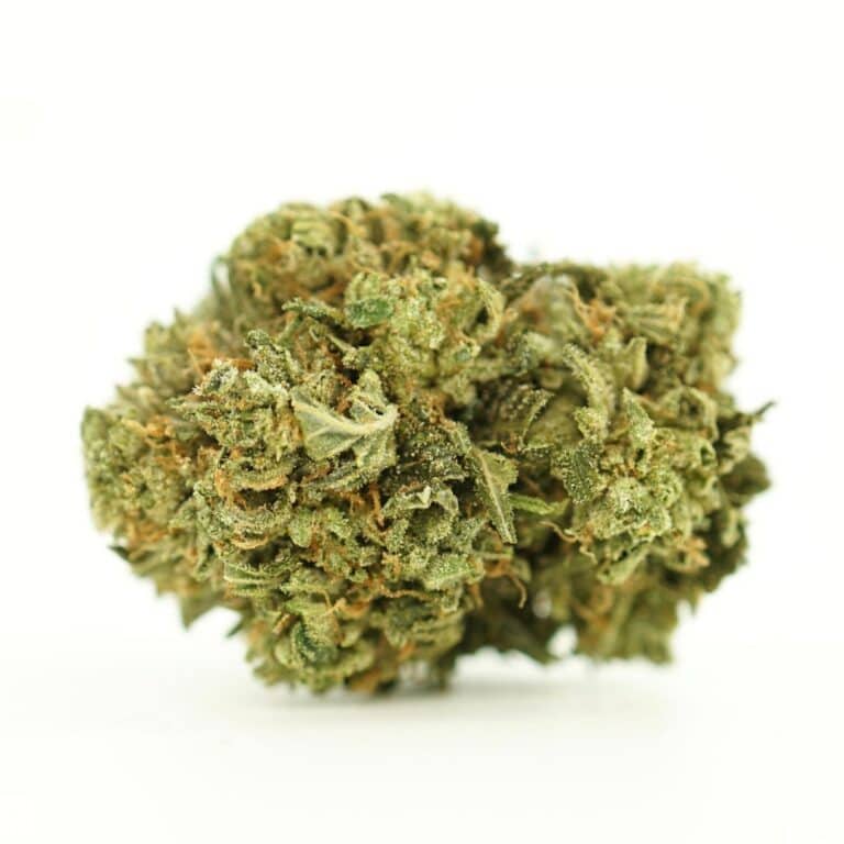 mothers milk close-up image of cannabis bud with frosty trichomes on a crisp white background