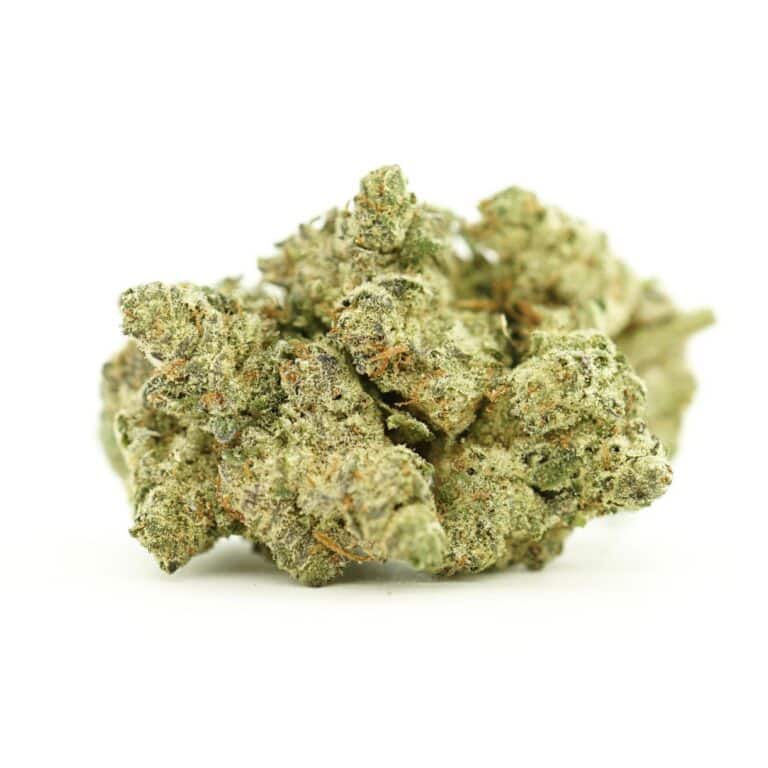 close-up image of orange crush cannabis bud with frosty trichomes on a crisp white background