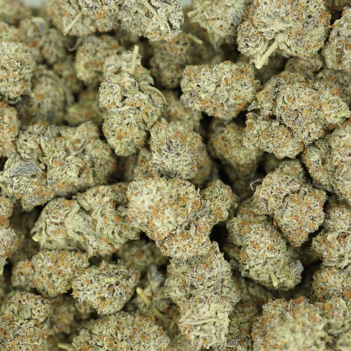 top view of cannabis buds with dense structure, frosty trichomes, and light green coloration