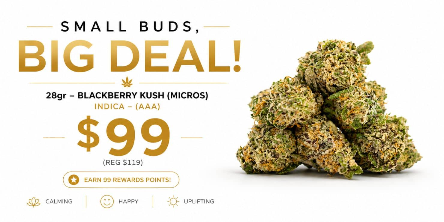 Blackberry Kush small buds cannabis promotion featuring dense green and purple indica flower, white and gold branding, and a $99 ounce deal from King Tut’s Cannabis.