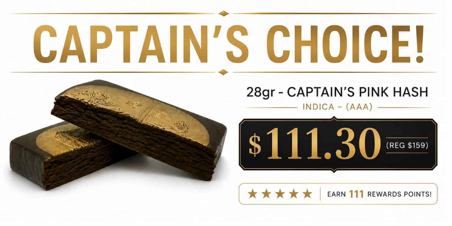 Captain’s Choice promotional banner featuring Captain’s Pink Hash in a premium white and gold design, advertising 28g hash for $111.30 with stacked hash pieces and King Tut’s branding.