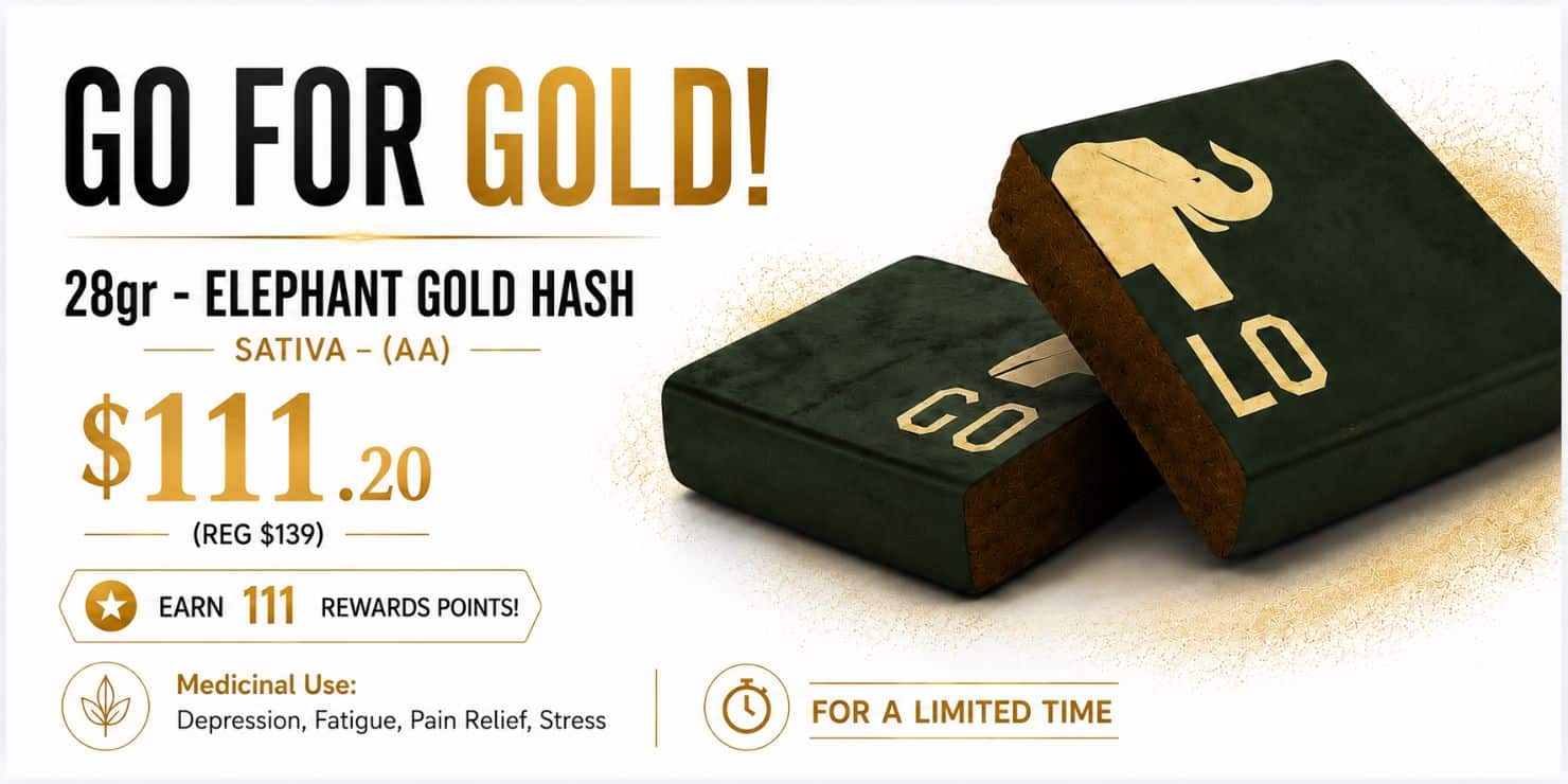 Premium white and gold promotional banner for 28gr Elephant Gold Hash featuring bold “Go For Gold!” headline, large $111.20 sale price, rewards points offer, medicinal use icons, and oversized black-and-gold hash product blocks on a clean luxury background.