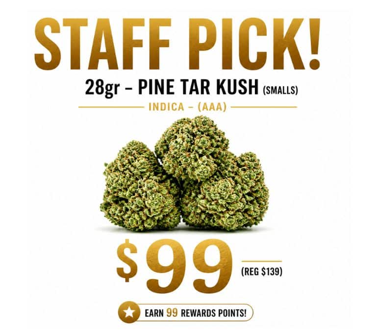 28g Pine Tar Kush smalls indica AAA cannabis flower promotional graphic with $99 price and rewards points offer on white background