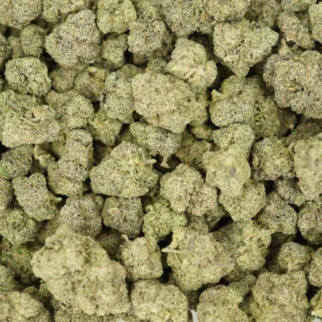 pp KHALIFA MINTS full