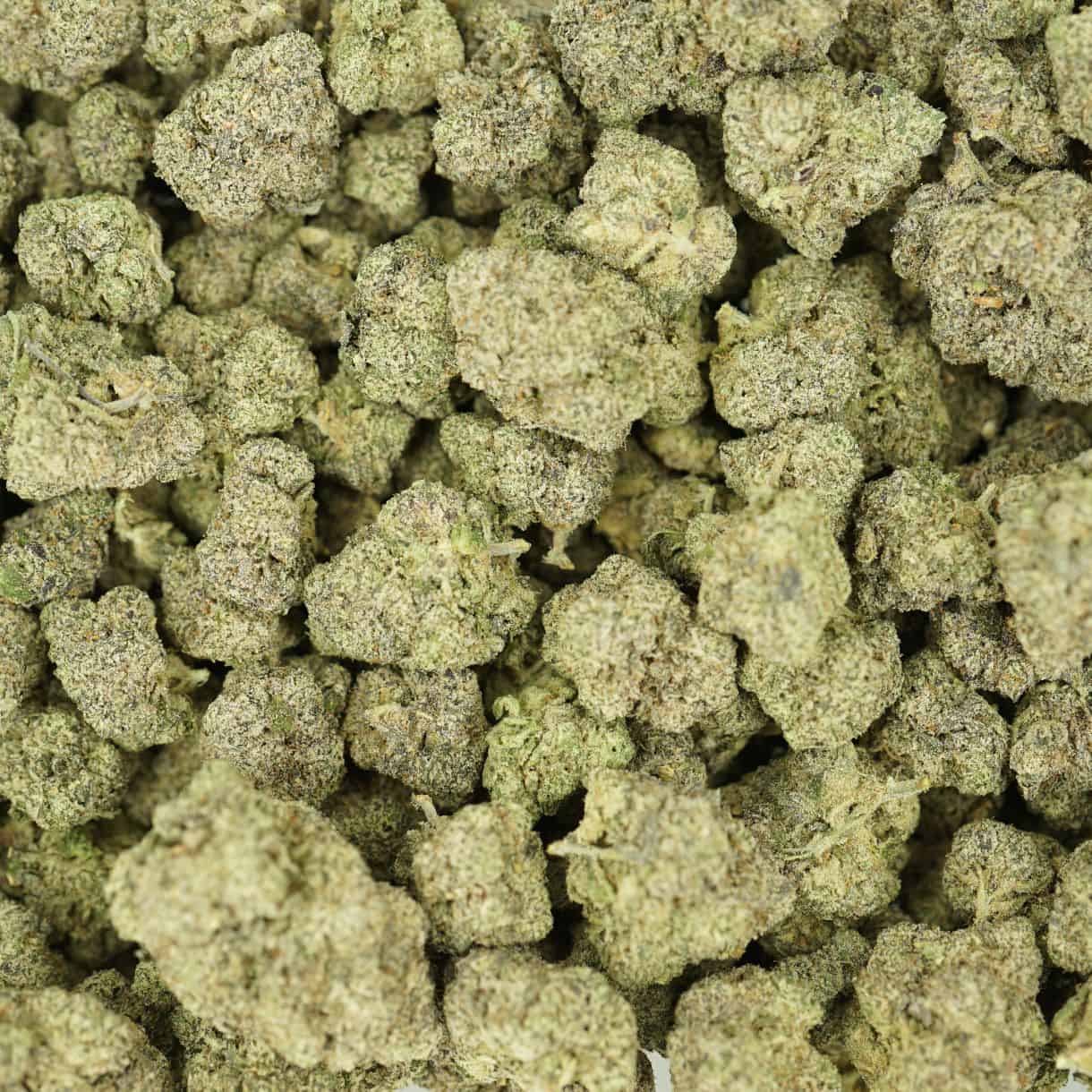 khalifa mints top view of cannabis buds with dense structure, frosty trichomes, and light green coloration