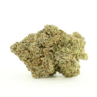 khalifa mints close-up image of cannabis bud with frosty trichomes on a crisp white background