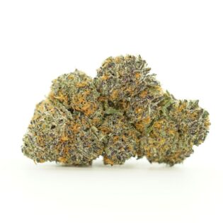 candy gas close-up image of cannabis bud with frosty trichomes on a crisp white background