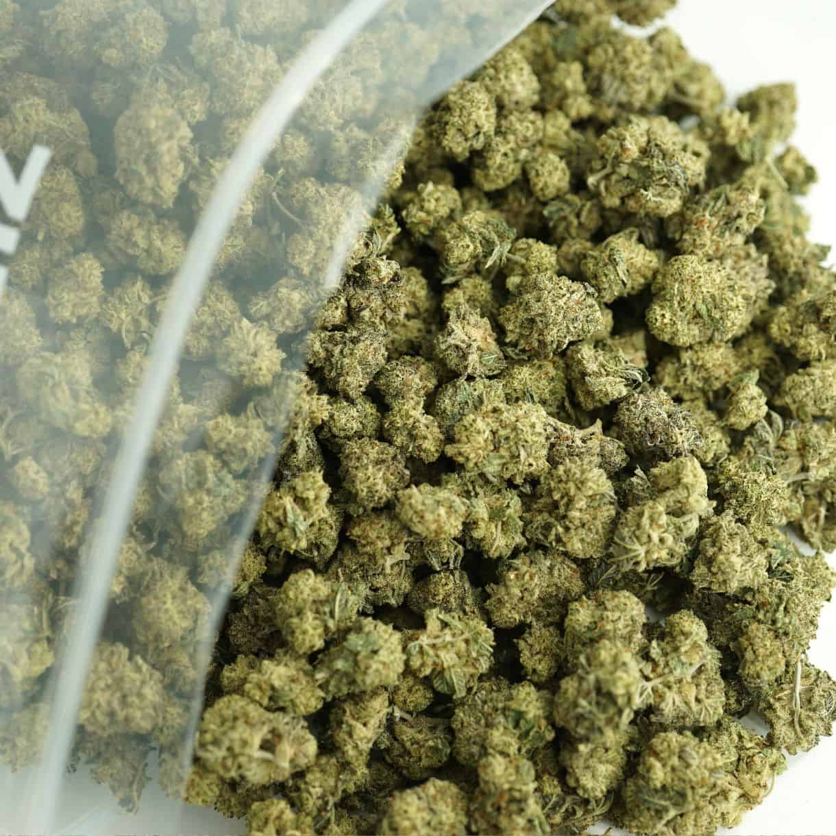 donkey butter smalls bulk close-up image of cannabis buds spilling out of a clear ZIP-ZAG plastic bag onto a white surface, showing dense green nugs with visible trichomes and orange hairs.