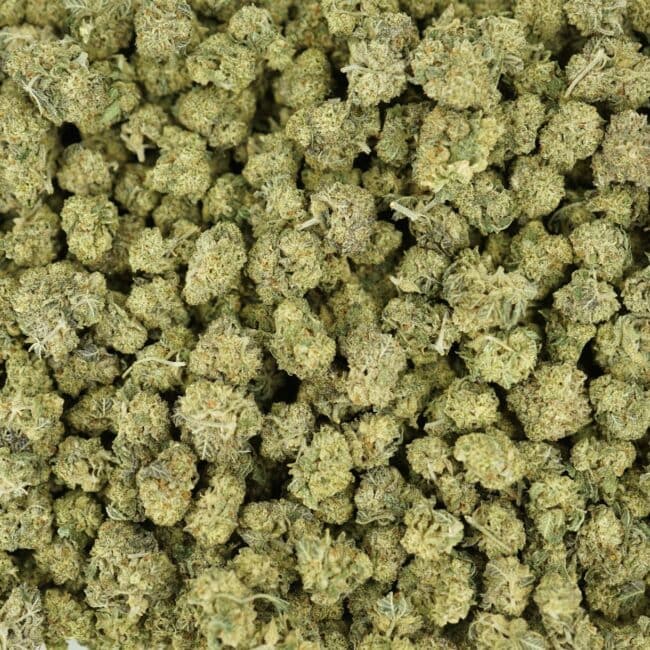 pp donkey butter smalls full