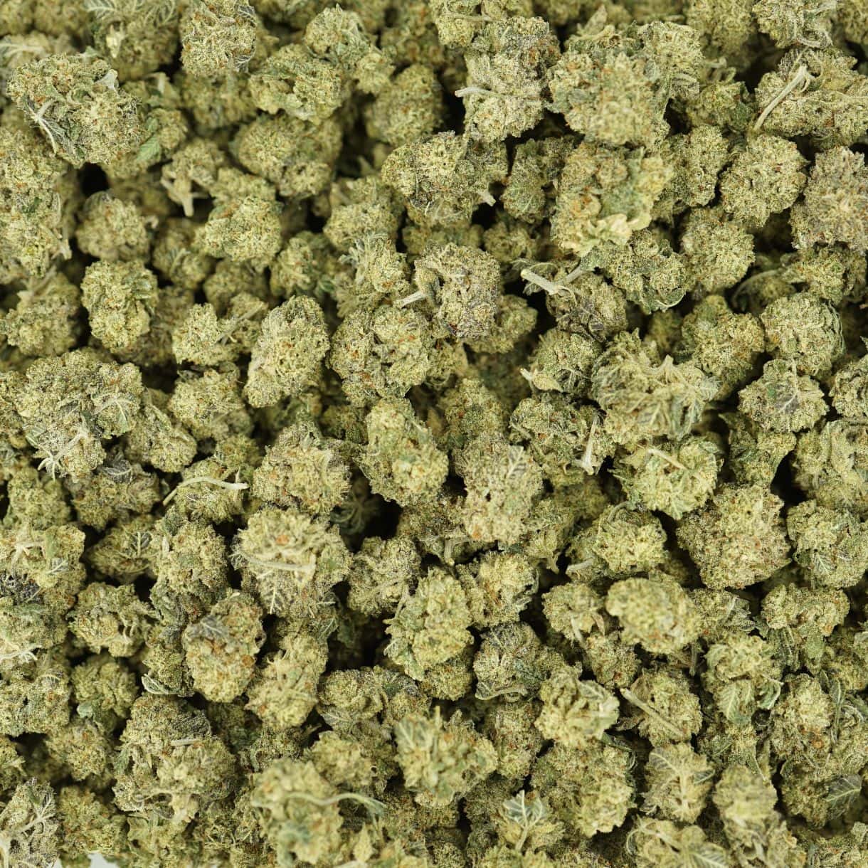 28gr - DONKEY BUTTER SMALLS - INDICA - (AAA) - Image 3
