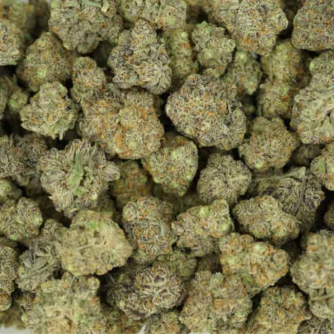 pp frozen grapes full