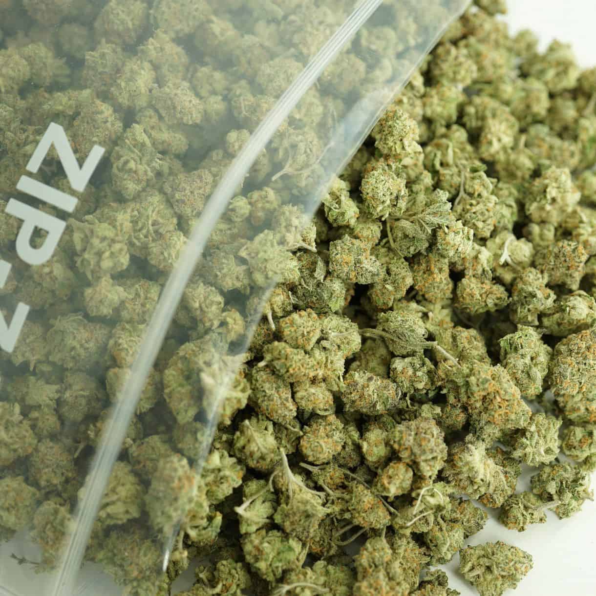 close-up image of goudaberry smalls bulk cannabis buds spilling out of a clear ZIP-ZAG plastic bag onto a white surface, showing dense green nugs with visible trichomes and orange hairs.