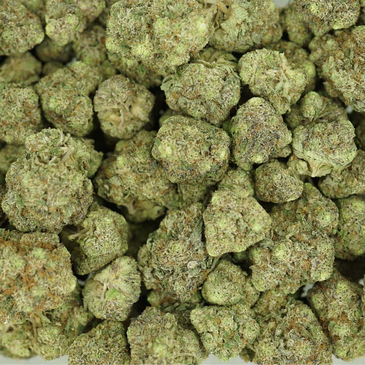 grimace top view of cannabis buds with dense structure, frosty trichomes, and light green coloration