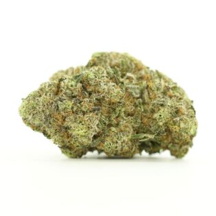 grimace close-up image of cannabis bud with frosty trichomes on a crisp white background
