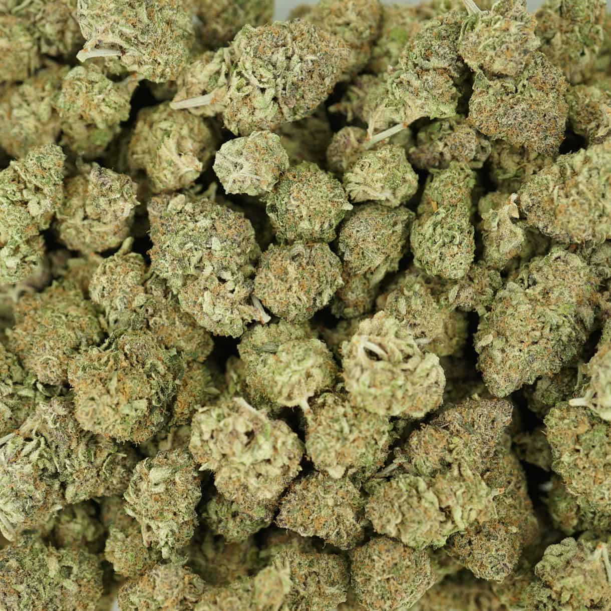 28gr - LEMON PINEAPPLE - SATIVA - (AAA) - Image 3