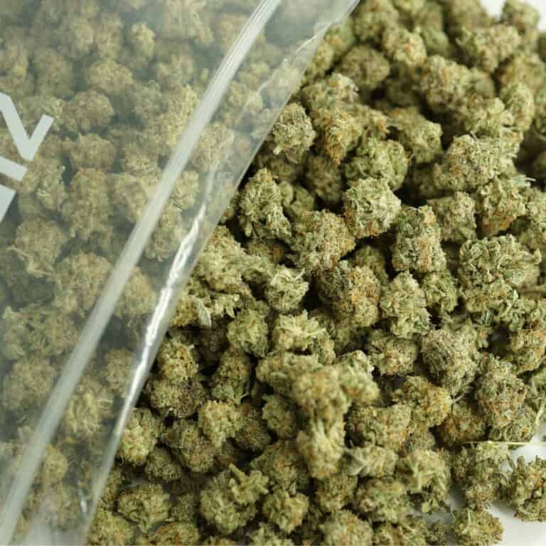 mac n cheese smalls bulk close-up image of cannabis buds spilling out of a clear ZIP-ZAG plastic bag onto a white surface, showing dense green nugs with visible trichomes and orange hairs.