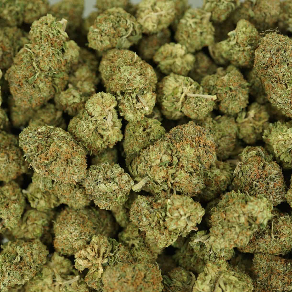 28gr - PINK DEATH - INDICA - (AAA) - Image 3
