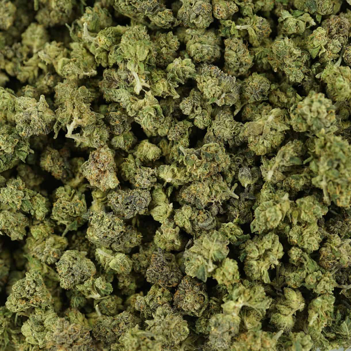 28gr - PINK LIZARD MICROS - INDICA - (AAA) - Image 3