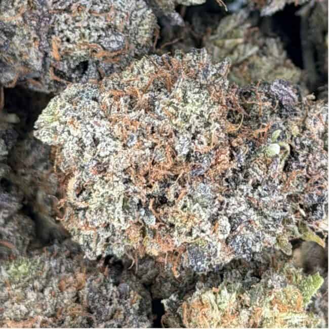 pp sour jamaican lime 2