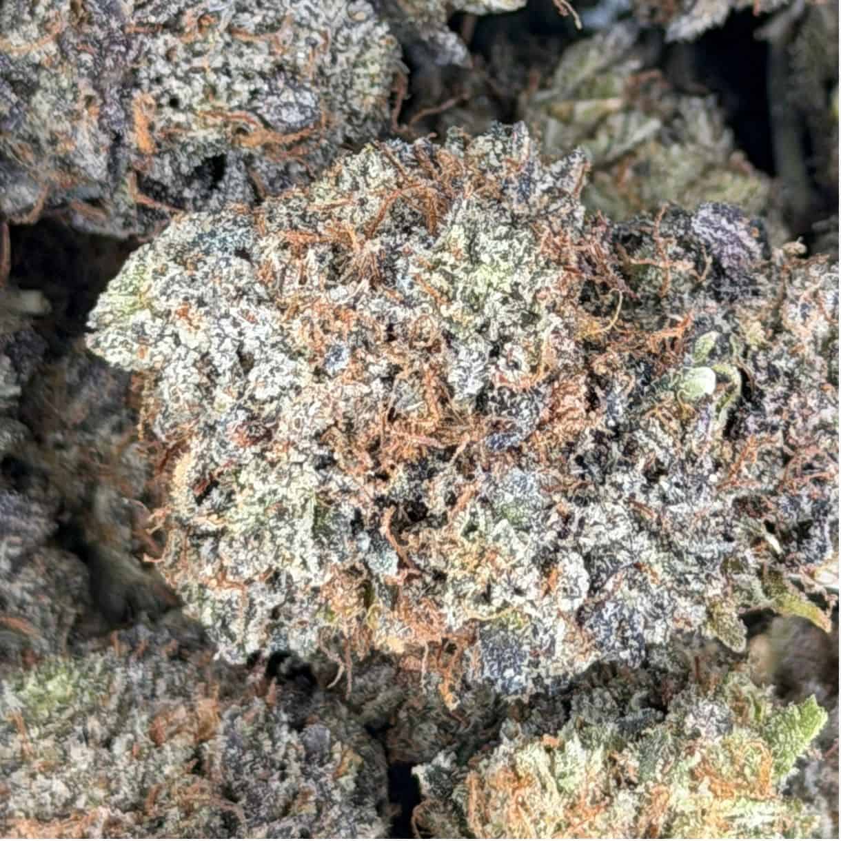 close-up macro of cannabis bud showing dense trichomes, green tones, and orange pistils