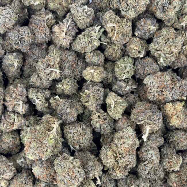 pp sour jamaican lime full