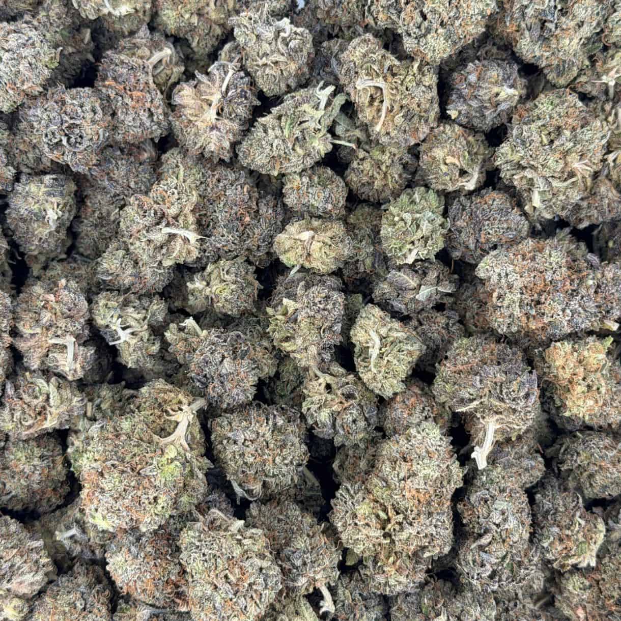 28gr - SOUR JAMAICAN LIME SMALLS - BALANCED HYBRID - (AAA) - Image 3