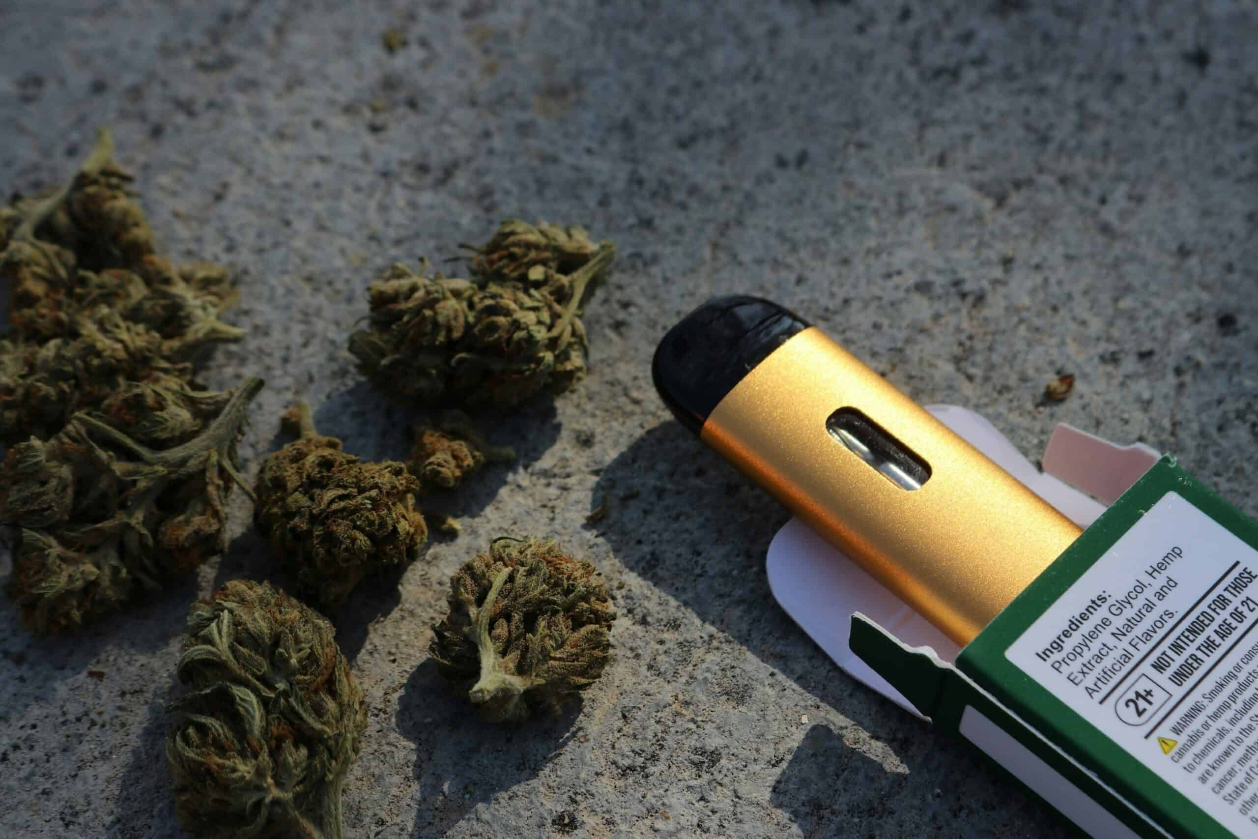 THC Vapes Beginner-Friendly