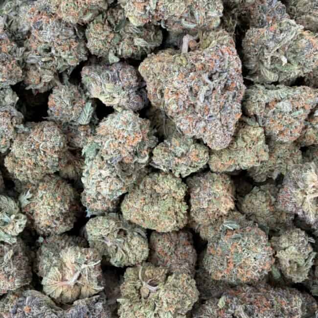 PP cherry bomb full