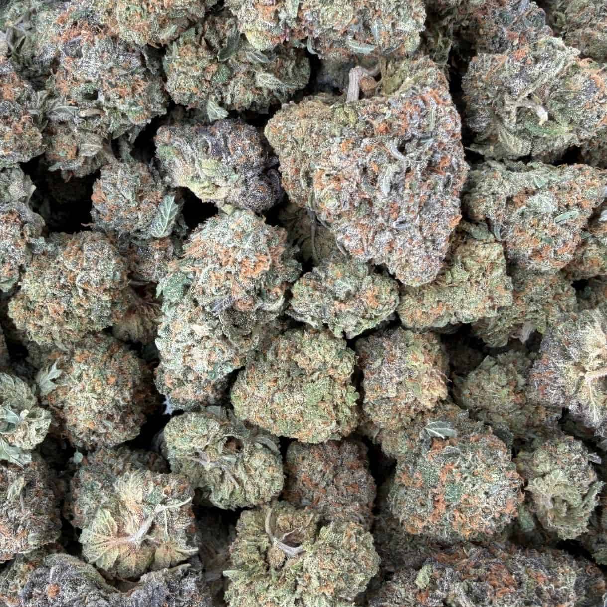 28gr - CHERRY BOMB - BALANCED HYBRID - (AAA) - Image 3