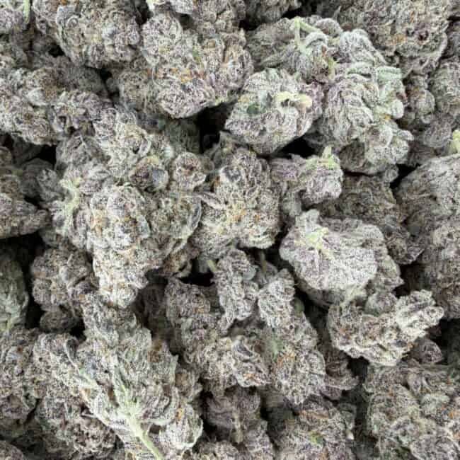 pp CHERRY INFERNO PHENOTYPE #3 full