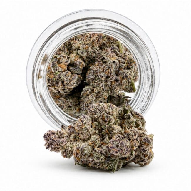 pp CHERRY INFERNO PHENOTYPE #3 main