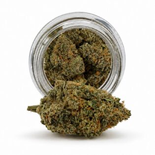 Une fleur de cannabis dense aux trichomes givrés au premier plan, un bocal en verre légèrement flou sur un fond blanc éclatant