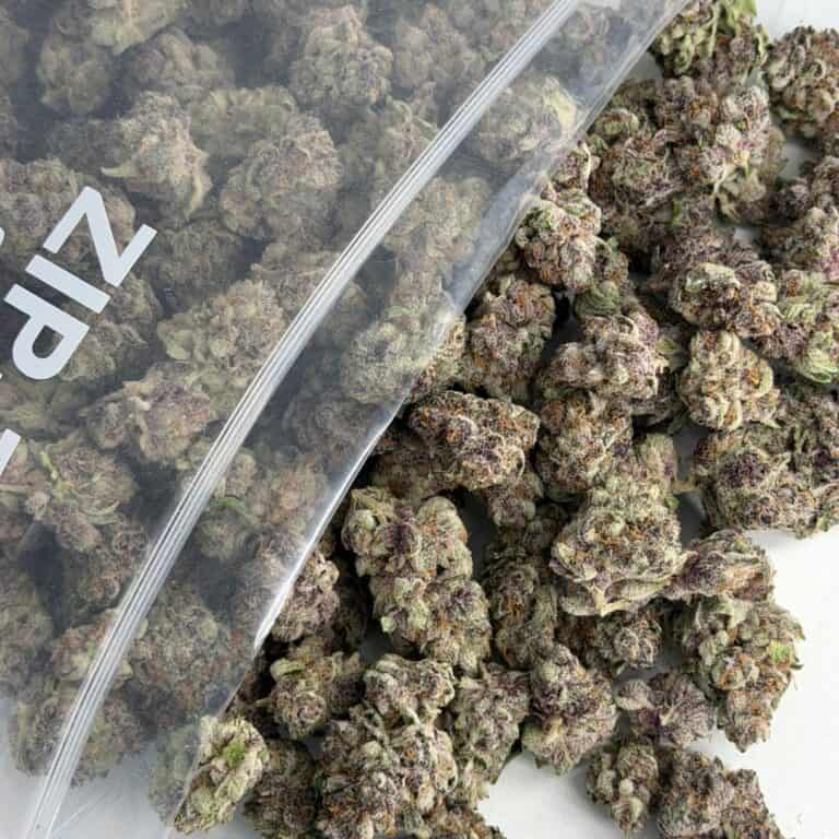 close-up image of cannabis buds spilling out of a clear ZIP-ZAG plastic bag onto a white surface, showing dense green nugs with visible trichomes and orange hairs.