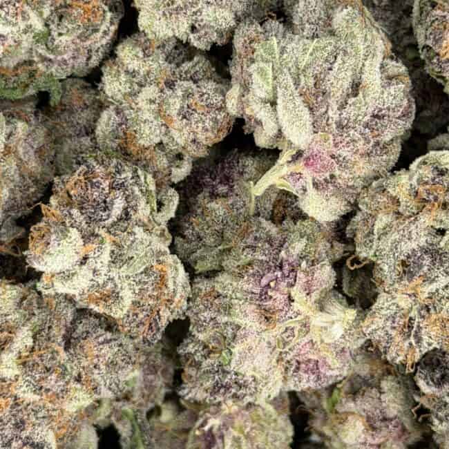 pp NEW YORK CITY DIESEL full
