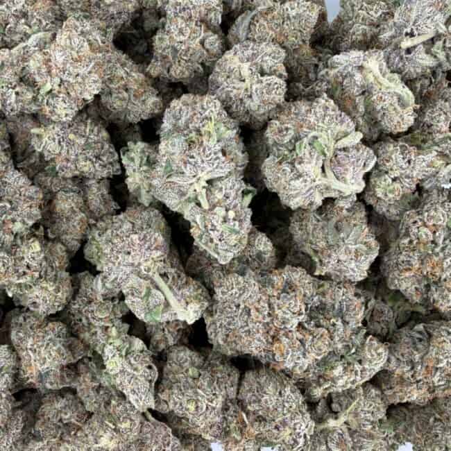 pp ON POINT PHENOTYPE #2 full