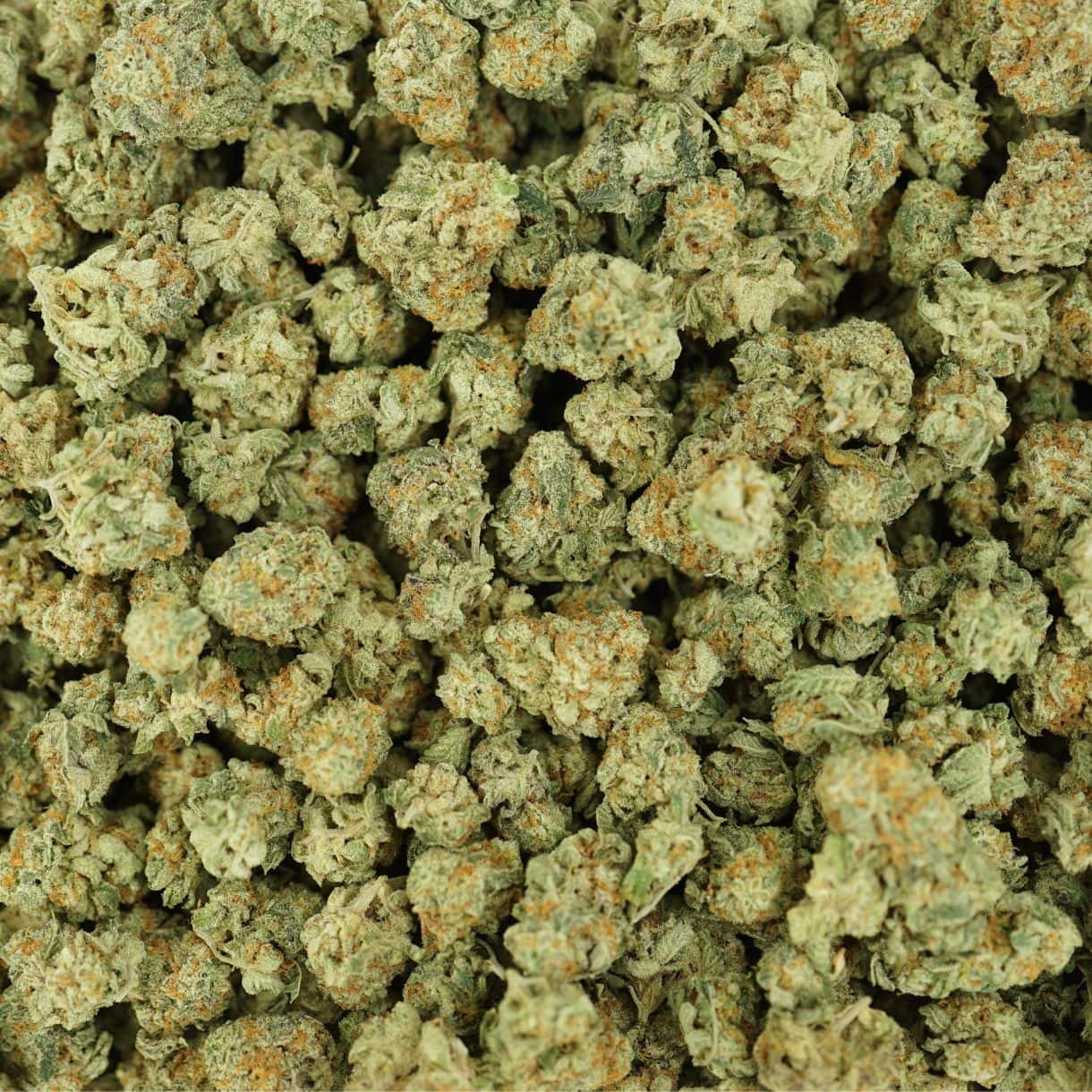 28gr - B.O.B. - BALANCED HYBRID - (AAA) - Image 3