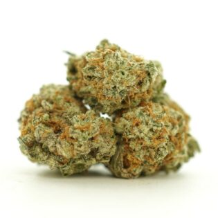Image of bob cannabis bud with frosty trichomes on a crisp white background