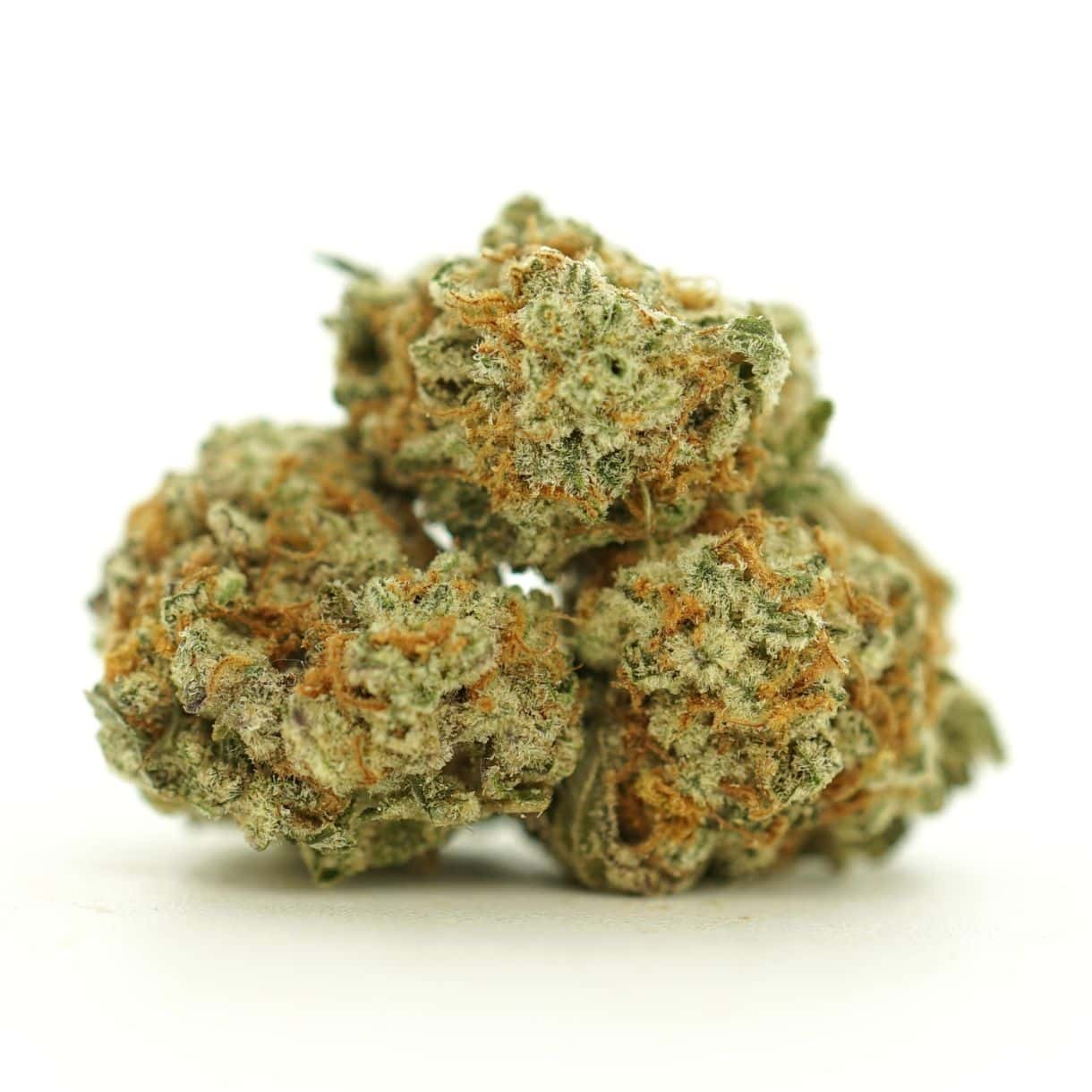 Image of bob cannabis bud with frosty trichomes on a crisp white background