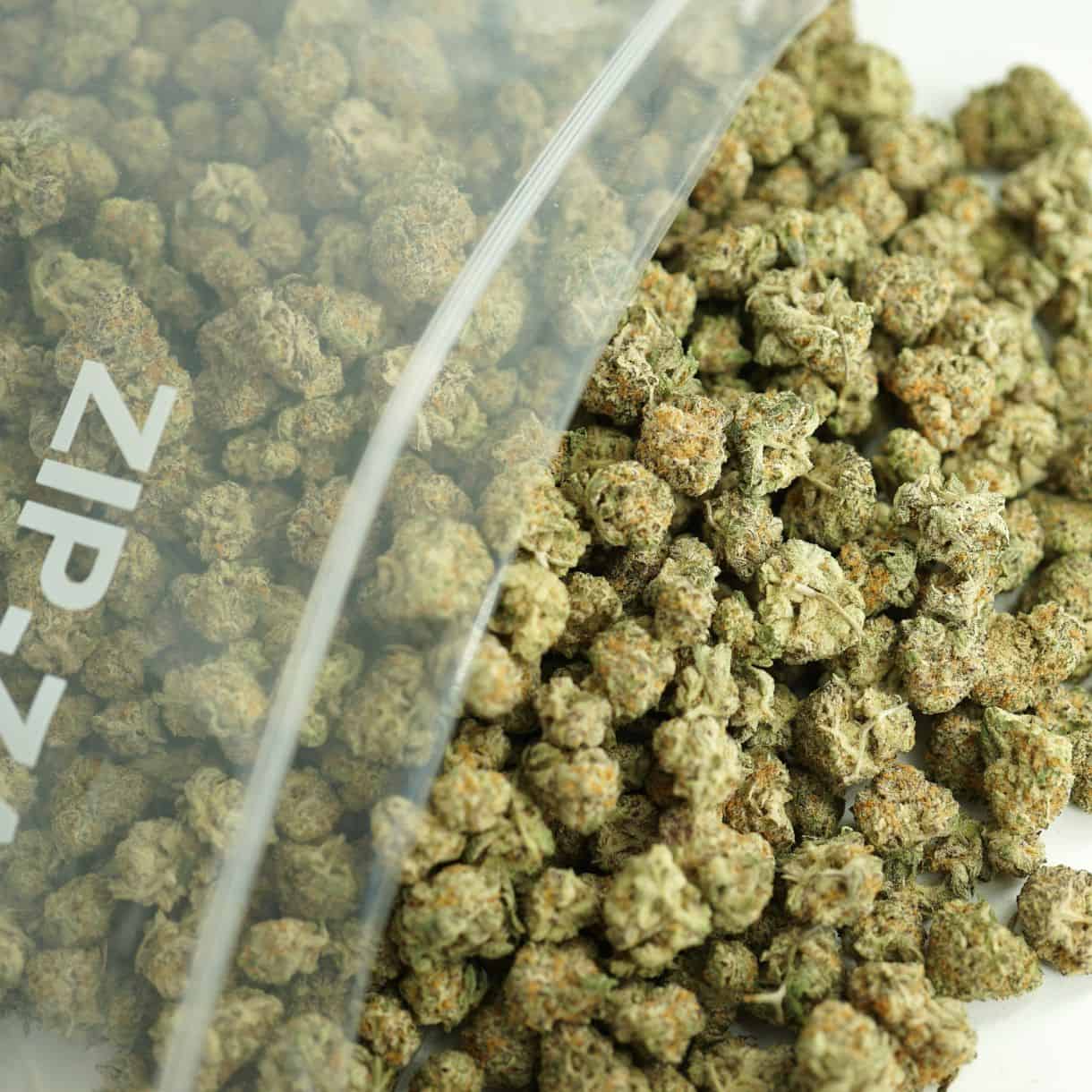 do si dos bulk close-up image of cannabis buds spilling out of a clear ZIP-ZAG plastic bag onto a white surface, showing dense green nugs with visible trichomes and orange hairs.