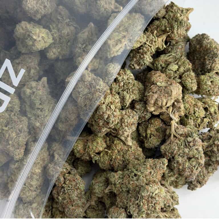close-up image of cannabis buds spilling out of a clear ZIP-ZAG plastic bag onto a white surface, showing dense green nugs with visible trichomes and orange hairs.