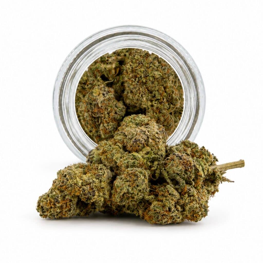 Image of druntz cannabis bud with frosty trichomes on a crisp white background