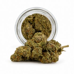 Image of druntz cannabis bud with frosty trichomes on a crisp white background