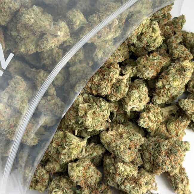 pp durban poison en vrac