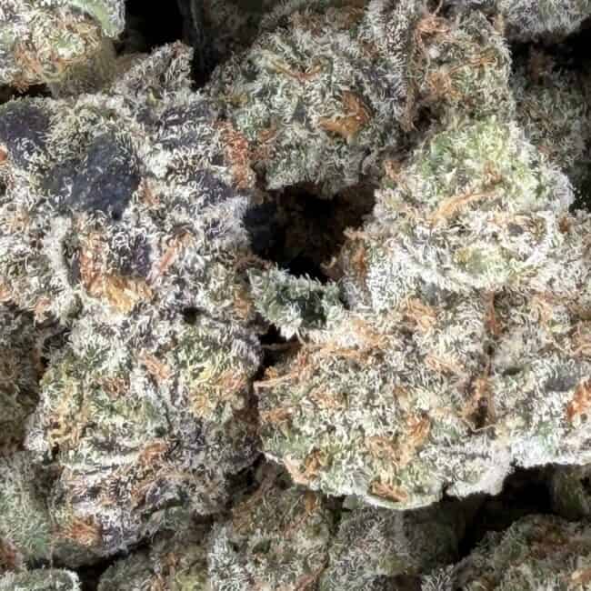 pp grape og smalls 2