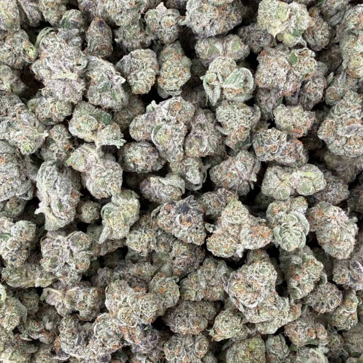 28gr - GRAPE OG SMALLS - INDICA - (AAA) - Image 3