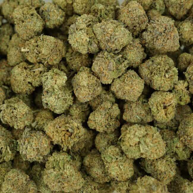 pp michael jordan kush full