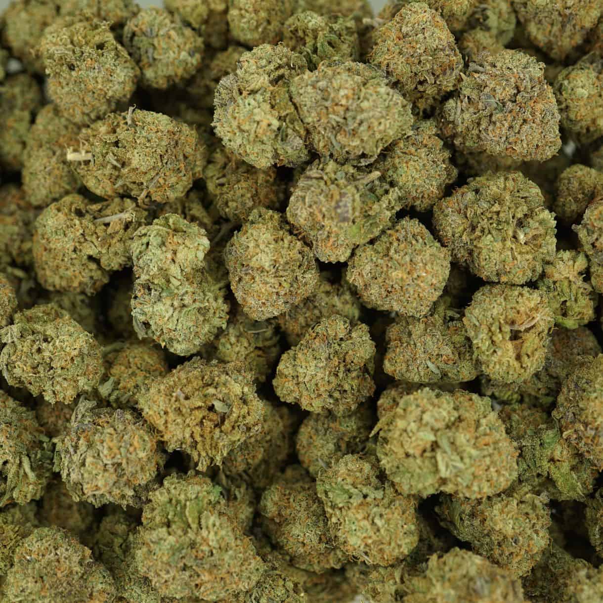 top view of cannabis buds with dense structure, frosty trichomes, and light green coloration