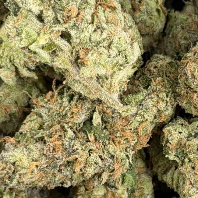 pp moonshine haze 2