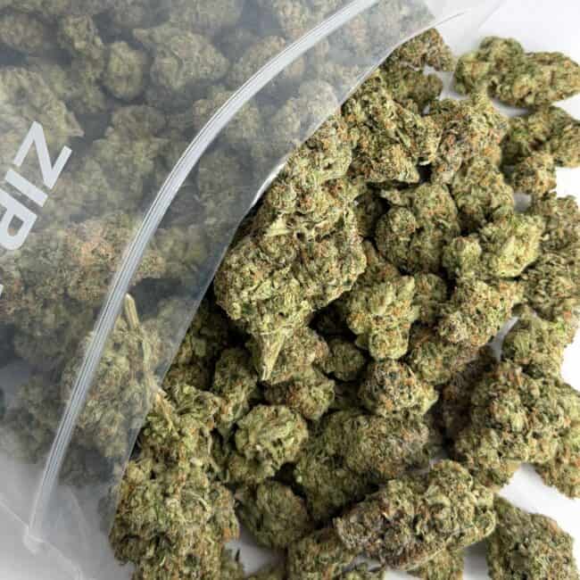 pp moonshine haze bulk