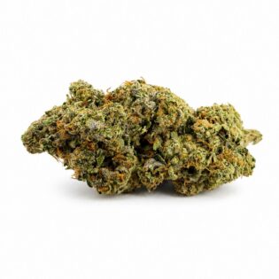 Image of cannabis bud with frosty trichomes on a crisp white background